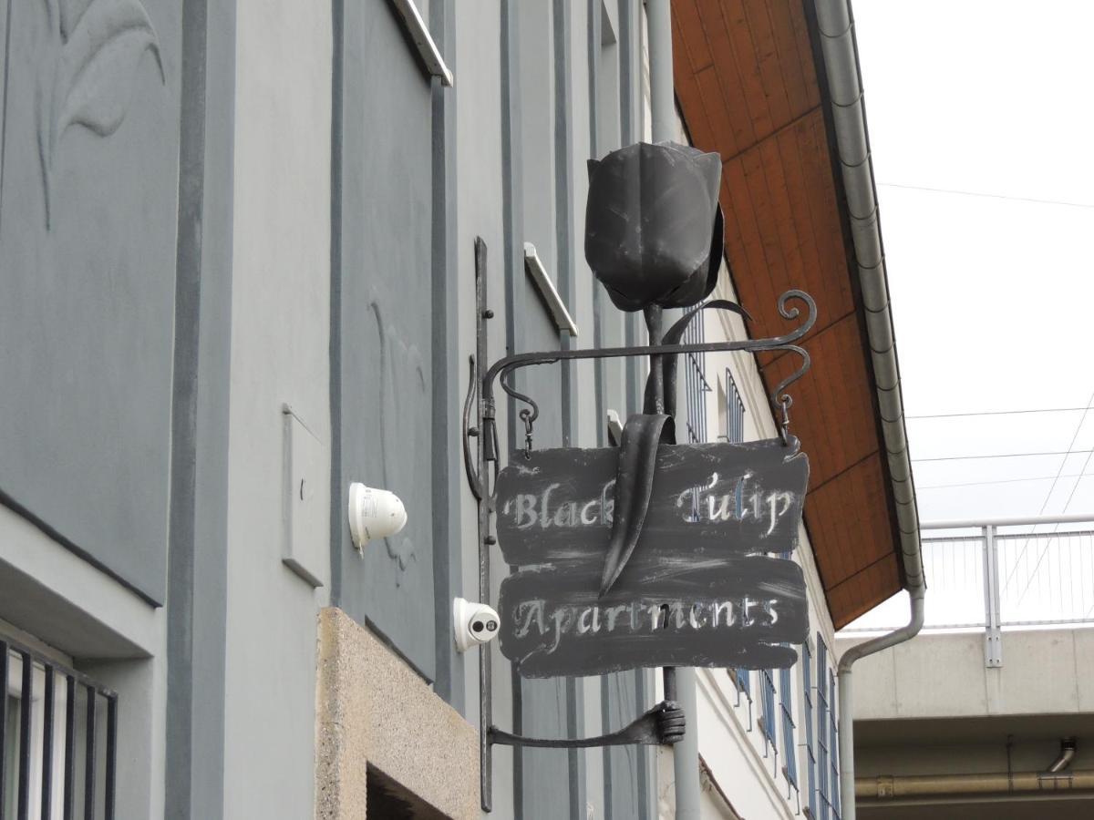 Apartmány Černý Tulipán #4 Plzeň Exteriér fotografie