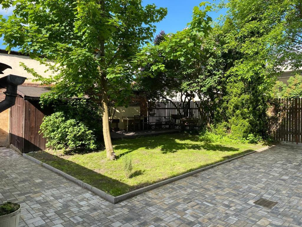 Apartmány Černý Tulipán #4 Plzeň Exteriér fotografie