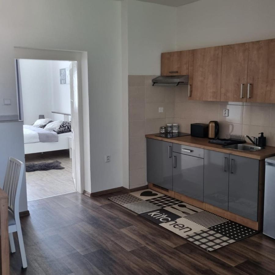 Apartmány Černý Tulipán #4 Plzeň Exteriér fotografie