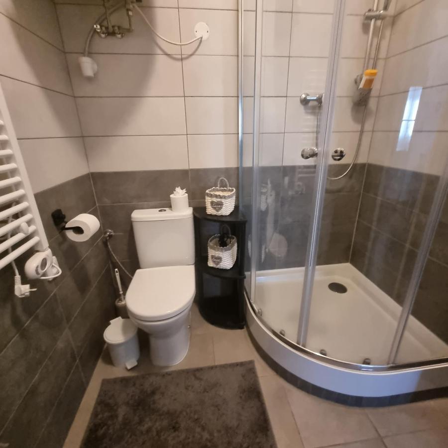 Apartmány Černý Tulipán #4 Plzeň Exteriér fotografie