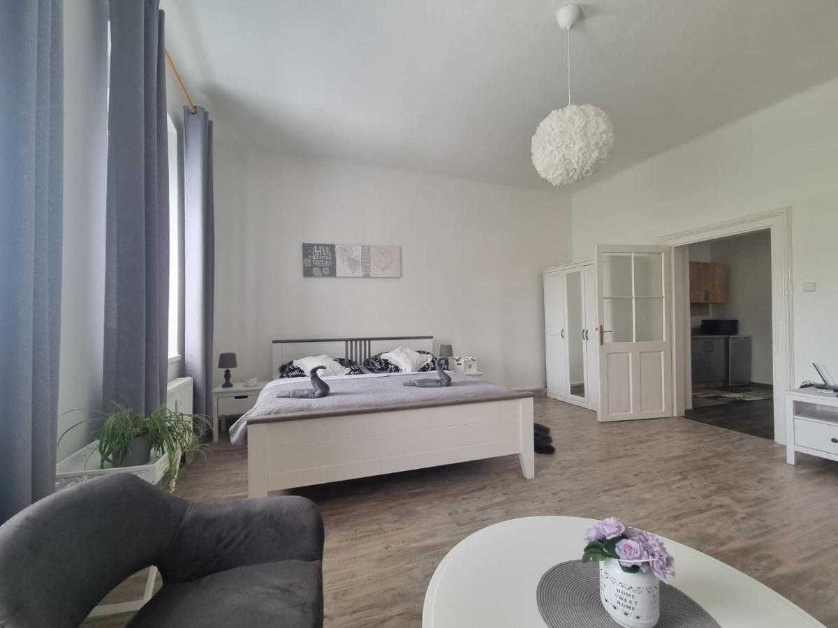 Apartmány Černý Tulipán #4 Plzeň Exteriér fotografie